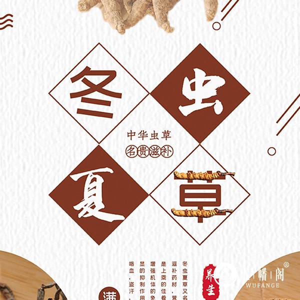 冬虫夏草的抗衰老奥秘