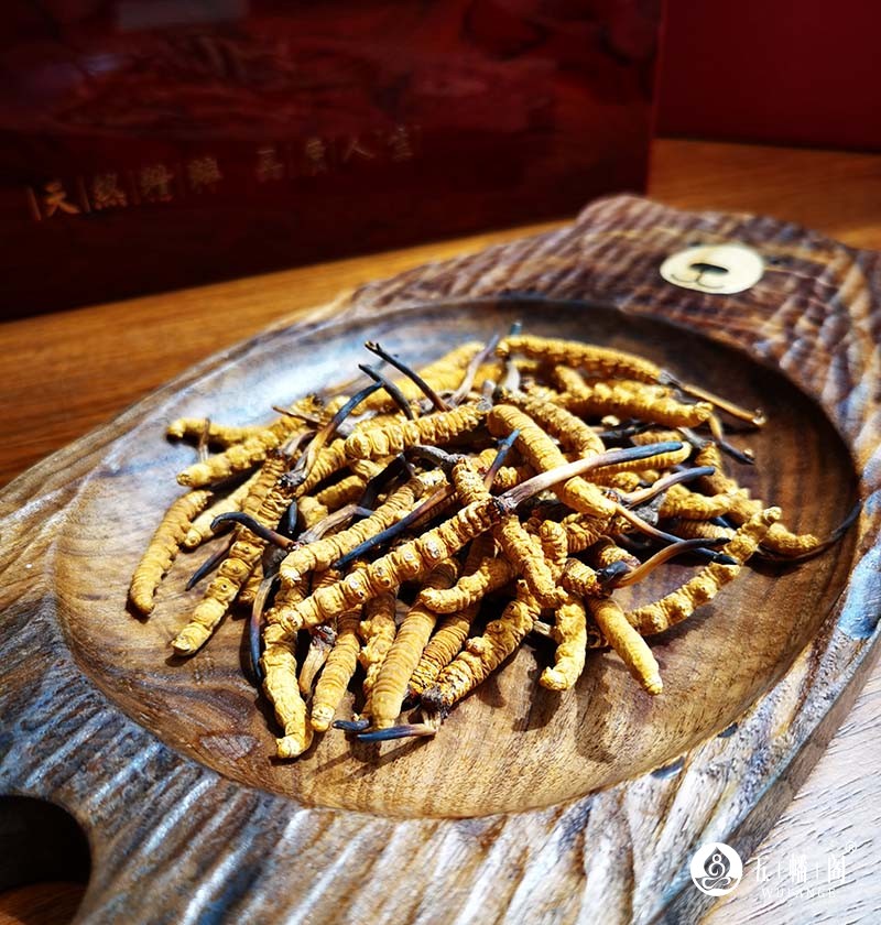 别再花冤枉钱了！揭秘冬虫夏草市场真相，源头直供到底多省钱？