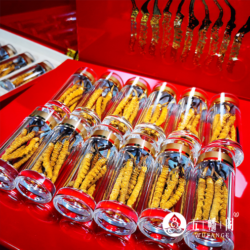 2023年冬虫夏草产业发展状况